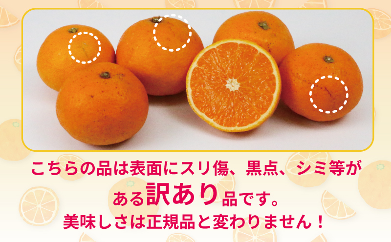 清見 訳あり 清見タンゴール 5kg 杉本屋 先行予約 わけあり タンゴール オレンジ きよみ 清見オレンジ 清見みかん 果物 くだもの フルーツ 柑橘 蜜柑 みかん mikan ミカン デザート 愛