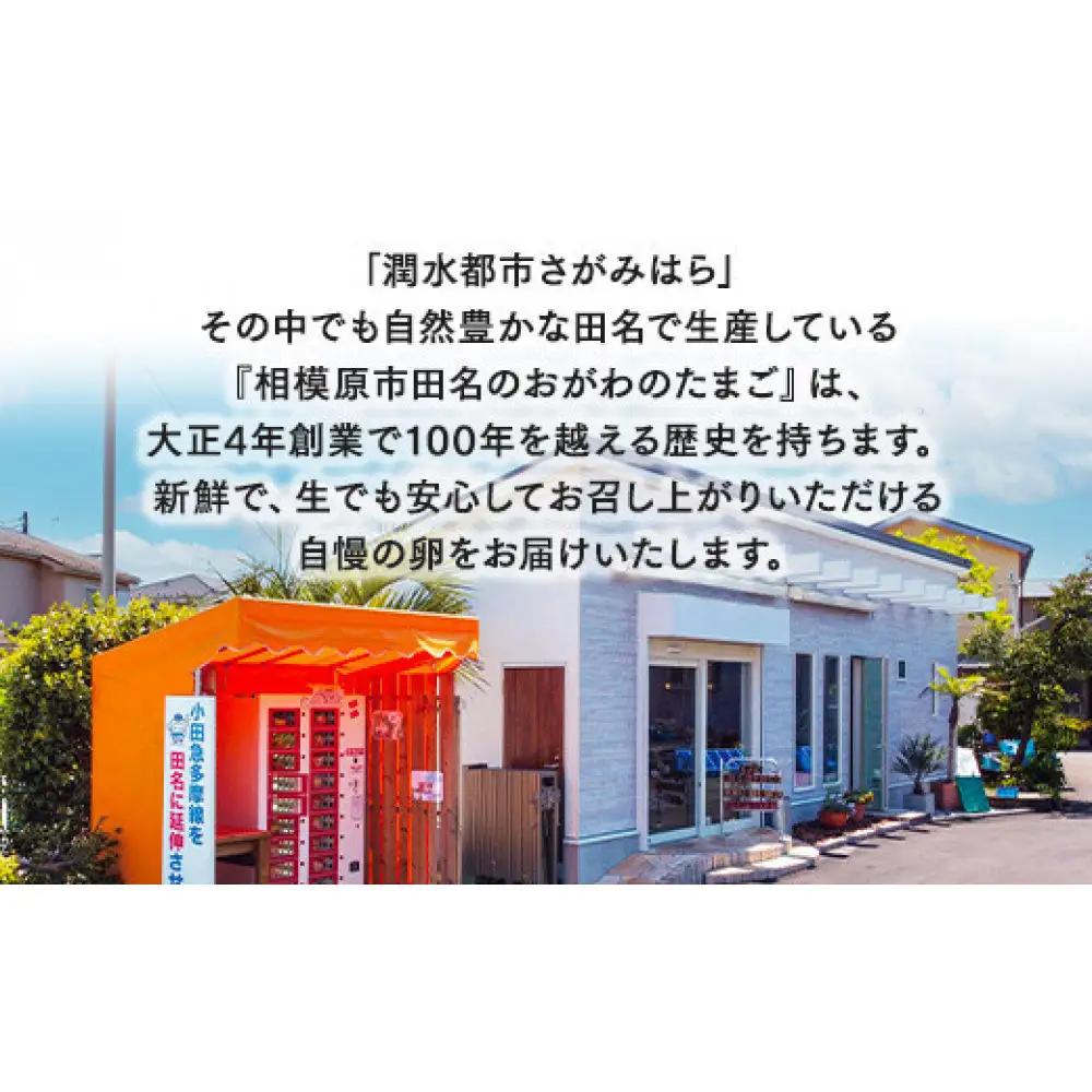 【4ヶ月定期便】【毎月後半発送】相模原市田名のおがわのたまご　ピンク卵 Mサイズ 30個(27個＋割れ補償3個)×4か月| 卵 鶏卵 玉子 たまご 生卵 国産 濃厚 コク 旨味 旨み