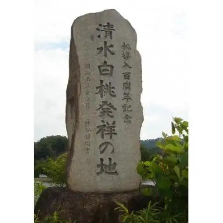岡山県産　清水白桃　6～8玉入り　2キロ 化粧箱入り【配送不可地域：離島・北海道・沖縄県・東北・関東・信越、北陸】【1726282】