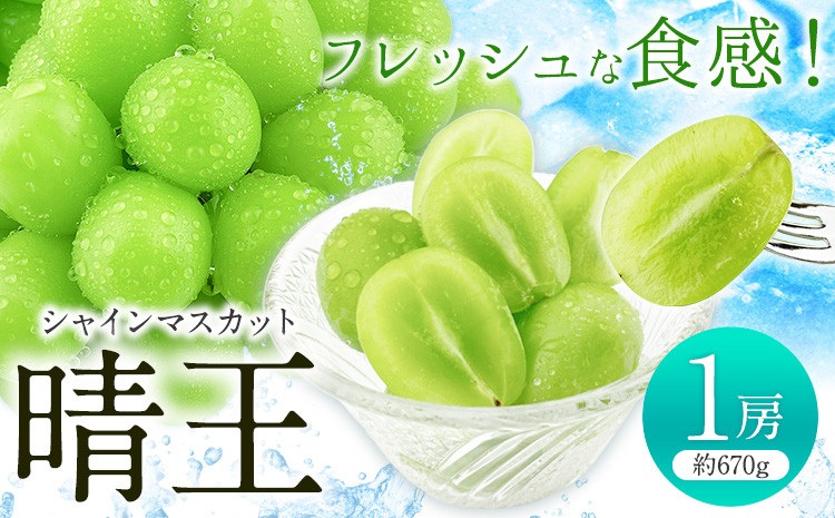 
            [先行予約]シャインマスカット 晴王 1房(約670g)《2026年9月上旬-10月上旬頃出荷(土日祝除く)》 田口青果 マスカット 送料無料 岡山県 浅口市 シャインマスカット ぶどう フルーツ 果物 贈り物 ギフト 国産 岡山県産 くだもの 果物 青果物【配送不可地域あり】
          