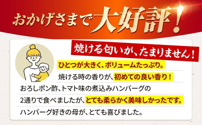 佐賀牛 ハンバーグ 冷凍 国産 A5 牛肉 黒毛和牛 佐賀 和牛 定期便 贈答用 贈答品 贈り物 プレゼント A5ランク