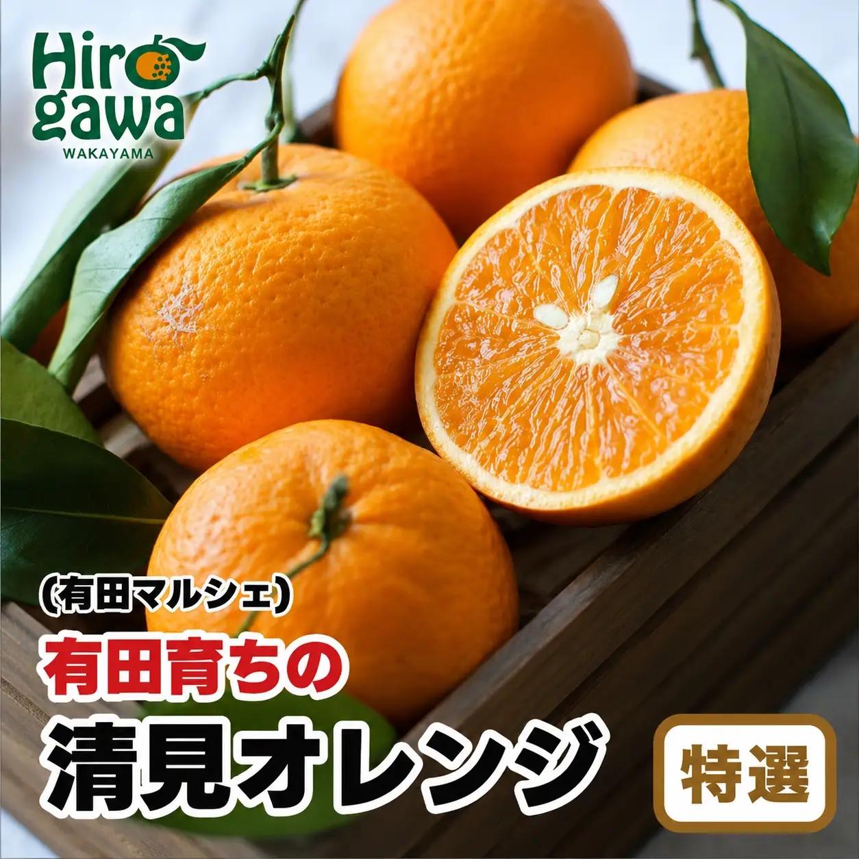 【産地直送】 有田 育ちの 特選 完熟 清見 オレンジ 3kg+200g(補償分)  / みかん 甘い オレンジ フルーツ 果物 有田 和歌山 ※2027年2月下旬～5月上旬に順次発送 ※北海道・沖縄・離島への配送不可 【ard011-p-5B】