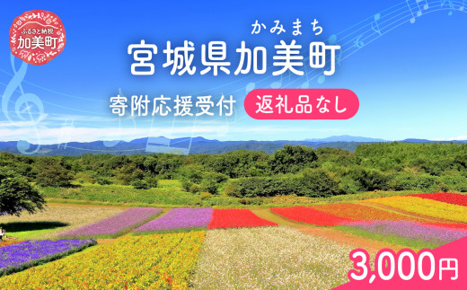 返礼品なし 宮城県 加美町 ふるさと応援寄附金 3,000円 |  寄附 応援 | kznot-3000