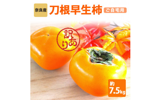 【 令和 7年分 先行 予約 】［Sunファーム］ 訳 あり たねなし 刀根 早生 柿 ご自宅用 約 7.5kg | フルーツ くだもの 果物 柿 かき カキ 刃根早生柿 奈良県 五條市 訳あり 日本一の柿のまち 秋の味覚 自宅用 家庭用 特産品 果物