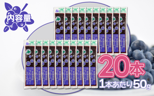 北海道 豊浦町 ブルーベリーシャーベット 20本 TYUN012