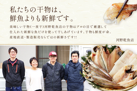 浜田港水揚げ魚の無添加薄塩味干物B（のどぐろを含む） 魚介類 魚貝類 無添加 薄塩味 干物 干もの 一夜干し セット 人気 お取り寄せ 【964】