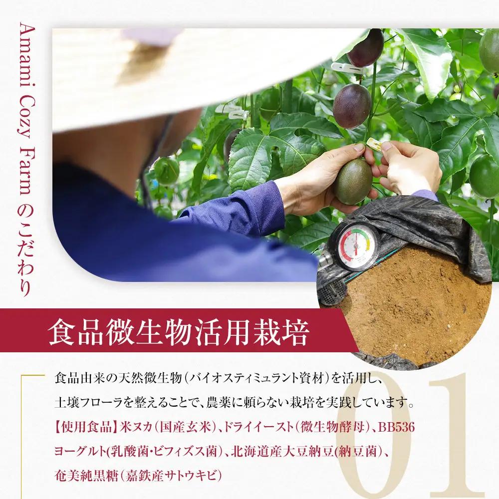 期間限定【農薬不使用】奄美大島 完熟パッションフルーツ約1kg（農家直送）｜食品微生物　バイオスティミュラント　土壌フローラの改善　点滴潅水　皇室献上　送料無料　国産　無農薬