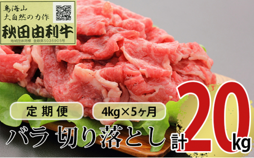 
《定期便》5ヶ月連続 秋田由利牛 バラ切り落とし 4kg（1kg×4パック）
