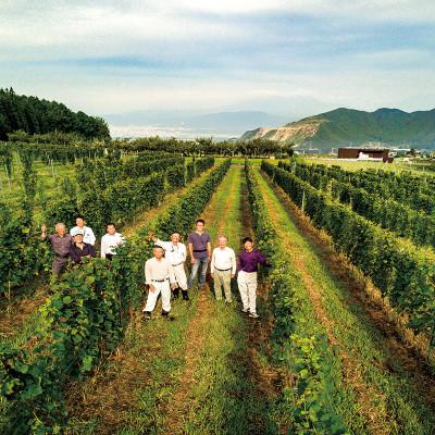 ふるさと納税 高山村 信州たかやまワイナリーのなっちょ白ワイン・ロゼワイン2本セット |  | 02