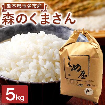 ふるさと納税 玉名市 熊本県玉名市産　森のくまさん 5kg