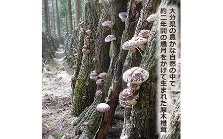 大分産椎茸こうしん 360g（60g×6袋） 大分 椎茸 乾燥しいたけ 原木 干し椎茸 水戻し 香り 深い味 和食 中華 小分け包装 保存 品質維持 シンボルマーク 椎茸本来 旨み 干ししいたけ しい