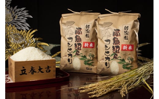 【頒布会】【令和7年産 新米予約】南魚沼塩沢産こしひかり（白米10kg×全12回）【令和7年11月上旬より順次発送予定】