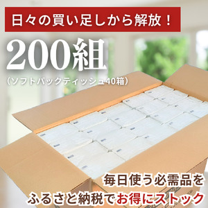 ティッシュペーパー ティッシュ ソフトパック ダブル 400枚 200組 40パック 再生紙 ティシュー エコ シンプル 日用品 消耗品 備蓄 防災 送料無料 愛媛県 四国中央市