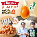 【ふるさと納税】【月1回 Lサイズ 80個 ×6回 定期便 】家族のために選びたい「 まつもとたまご 」計480個＜松本養鶏場＞[CCD011] 長崎 西海 卵 生卵 新鮮 卵かけごはん 安全 安心 美味しい こだわり 少数飼い 定期 小分け 赤玉