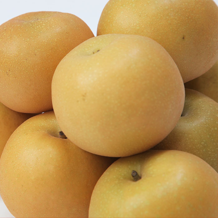 ☆フルーツ王国山形☆和梨(あきづき) 秀品 3kg 【令和6年産