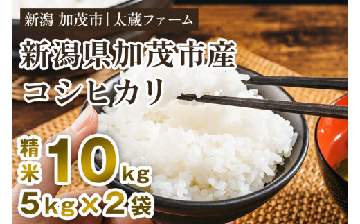 【令和8年産新米先行予約】新潟産 コシヒカリ 精米10kg（5kg×2袋） 《10月上旬～順次発送》 ミネラル豊富な土壌で育ったお米 加茂市  太蔵ファーム
