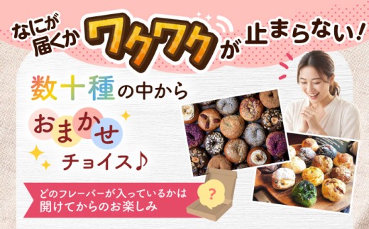 【2026年10月発送】ベーグル スコーン 詰め合わせ 計24個 セット ZEBRA.Bagel [BCAE004] 個包装 ベーグル パン ぱん 朝食 おやつ こだわり べーぐる スコーン すこーん