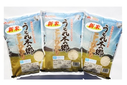令和7年産 阿武町 「 うもれ木の郷 」 こしひかり 2kg×3袋 【 エコやまぐち認証 】 