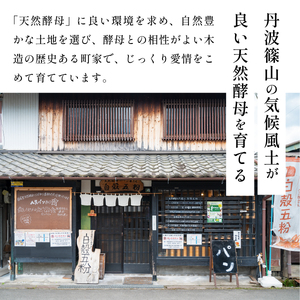 自家製天然酵母 7種入り パン セット | 兵庫県 丹波篠山市 天然酵母 国産小麦 有機 オーガニック パンセット 詰め合わせ お試し 冷凍 CT01-25