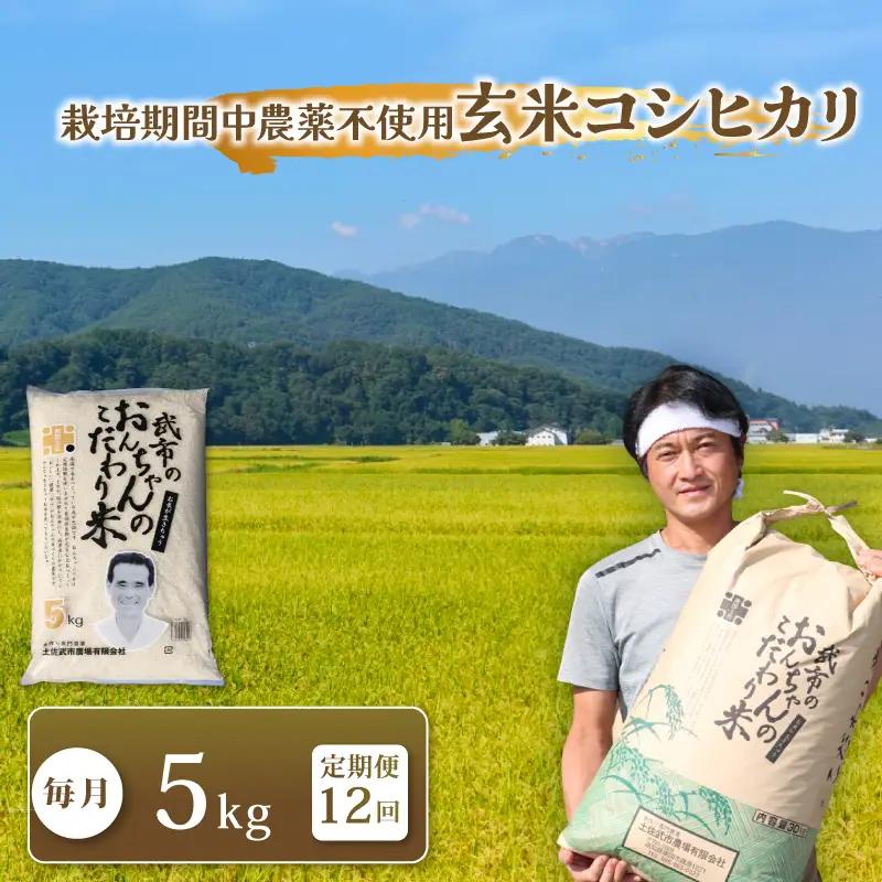 新米 【12回定期便】 特別栽培米 令和8年度産 コシヒカリ 玄米 5キロ