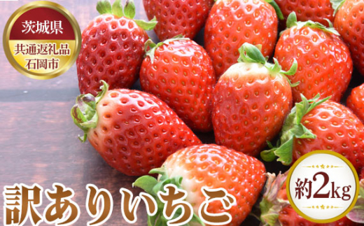 No.352 訳ありいちご　約2kg【茨城県共通返礼品 石岡市】 ／ 旬 新鮮 苺 イチゴ 果物 フルーツ 茨城県 特産品