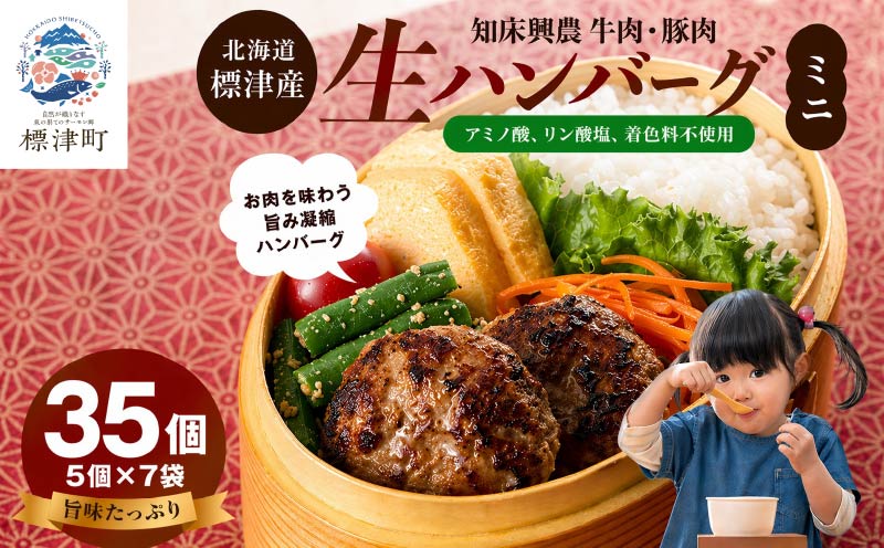 生ハンバーグミニ 35個セット(5個×7パック)冷凍でお届け 国産 牛肉 豚肉 ギフトにもおすすめ