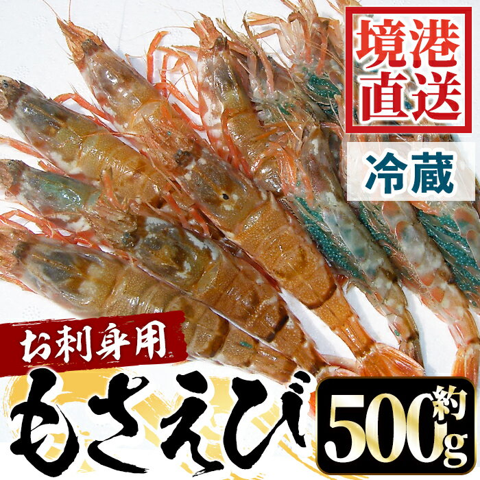 【ふるさと納税】＜選べる＞＜先行予約受付中！2026年3月中旬～4月中旬発送予定＞お刺身用モサエビ(約500g)国産 鳥取県 境港市 エビ 海老 海鮮 魚介類 魚貝類 活 生 刺し身 さしみ クロザコエビ モサエビ 冷蔵【sm-AA007】【いたくら】