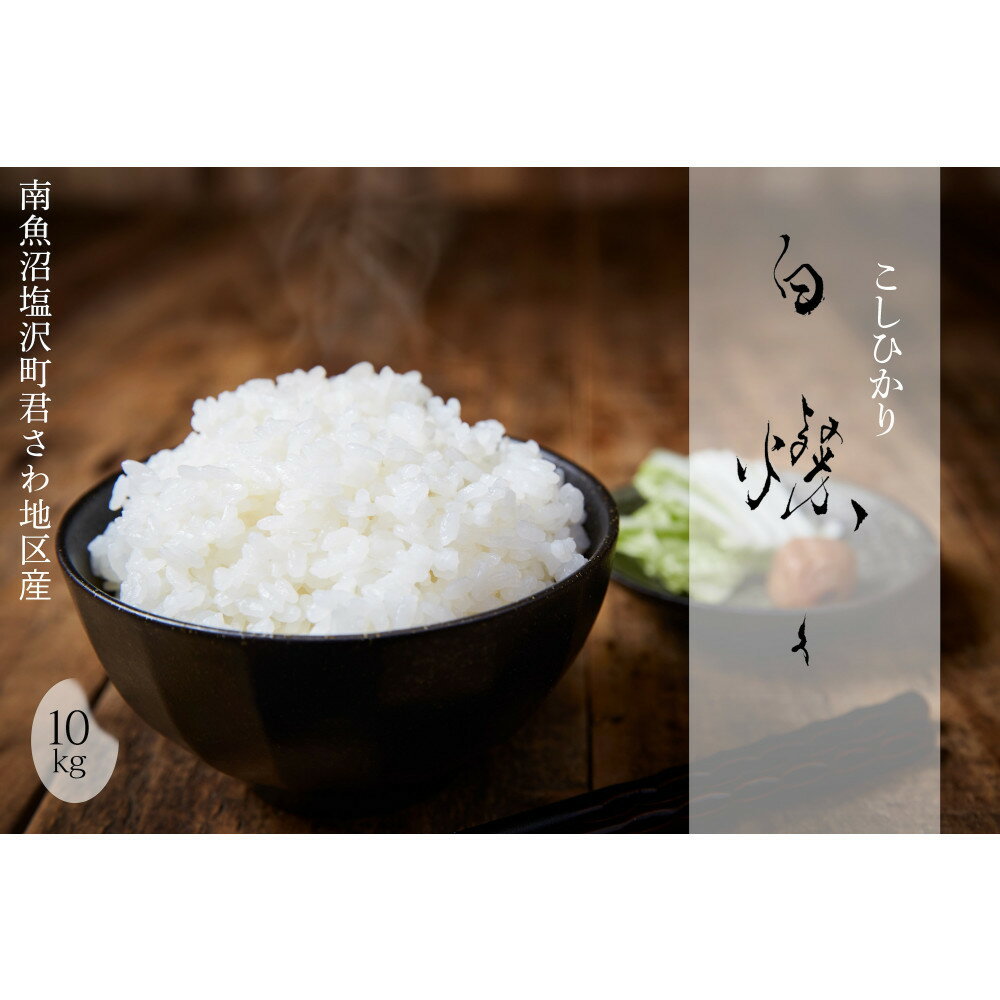 【ふるさと納税】【令和7年産新米】［12ヶ月定期便］南魚沼君沢産こしひかり 白燦々10kg | お米 こめ 白米 食品 人気 おすすめ 送料無料