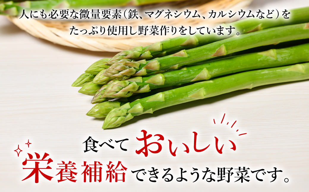 【先行予約】熊本県八代市産 アスパラガス 1kg 新鮮 アスパラ 野菜【2025年4月上旬より順次発送】