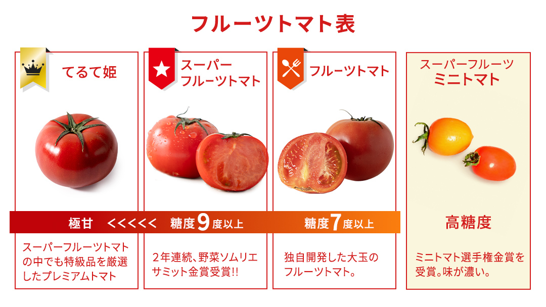 《 2027年 収穫分 》2～3月配送 スーパーフルーツトマト てるて姫 中箱 約1.2kg × 1箱 【12～15玉/1箱】 糖度9度以上 先行予約 フルーツトマト ブランドトマト 野菜 ギフト 贈