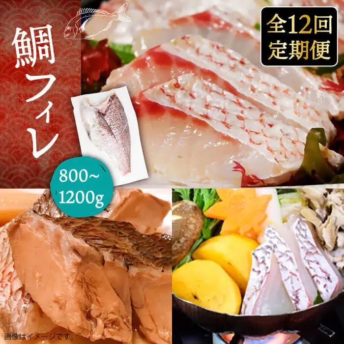 【全12回定期便】壱岐産 鯛 フィレ 800gから1.2kg [JDT035]