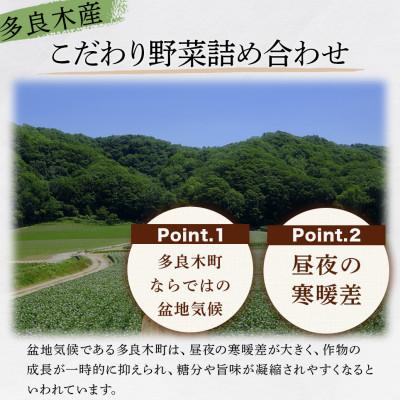 ふるさと納税 多良木町 【毎月定期便】熊本の大地の恵み 旬のこだわり野菜詰め合わせセット 8〜12品(3〜4名様向け)全3回 |  | 02