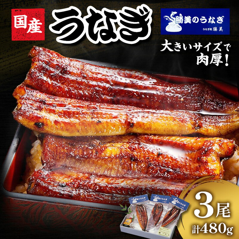 【ふるさと納税】うなぎ 浜松 国産 鰻 蒲焼 3尾 (160g×3尾 タレ75ml×1 山椒付) セット 勝美 土用の丑の日 丑の日 小分け 真空パック 国産うなぎ 浜松うなぎ 浜名湖うなぎ 蒲焼き ギフト プレゼント 贈答 浜名湖 産地直送 冷凍 冷凍配送 静岡 静岡県 浜松市