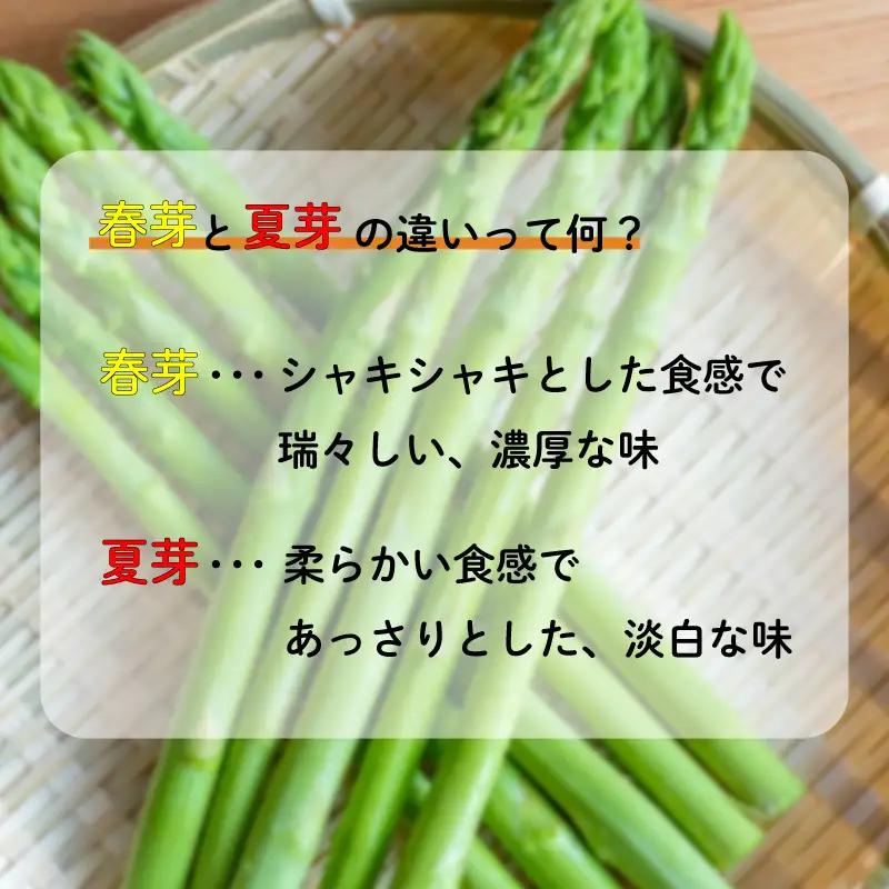 【先行予約】 アスパラガス さぬきのめざめ 夏芽 1kg  香川県 丸亀市 