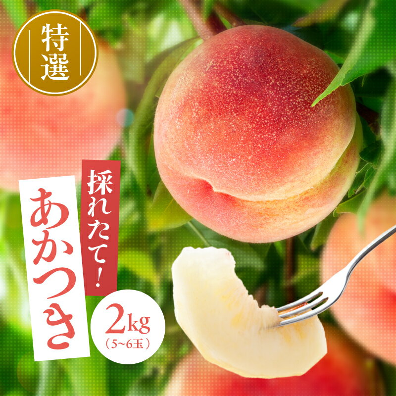【ふるさと納税】〈収穫当日出荷〉長野県飯田産　特選完熟桃 「あかつき」約2kg | 果物 くだもの フルーツ 柿 桃 もも あかつき 完熟 長野県 信州 南信州 飯田市 H23