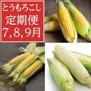 【ふるさと納税】【発送月固定定期便】7月・8月・9月　生で食べれるトウモロコシ定期便　北海道富良野からお届け全3回【配送不可地域：離島】【4056407】