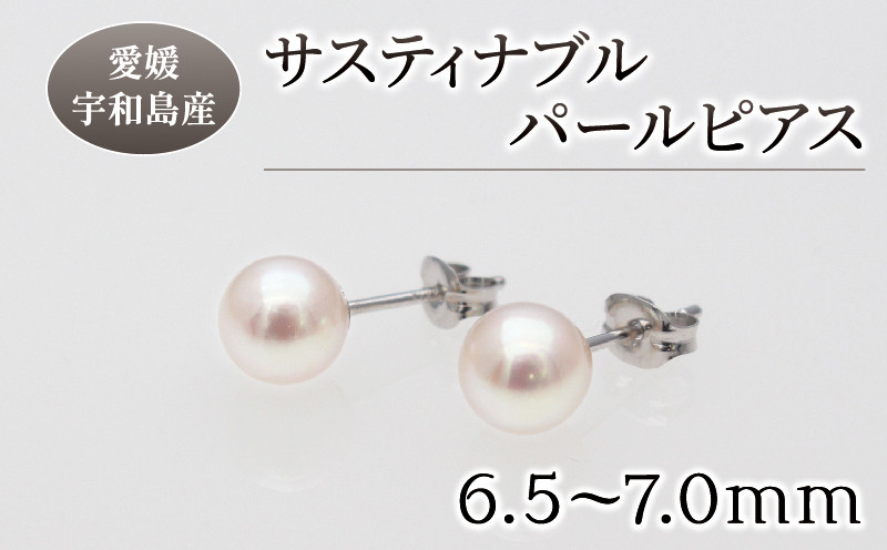 
アコヤ真珠 サスティナブル パール ピアス 6.5 - 7.0mm 土居真珠 パールピアス アクセサリー ファッション ジュエリー akoya 本真珠 真珠 プレゼント 高級 贈り物 贈答品 冠婚葬祭 お祝い 誕生日 成人式 記念日 特産品 国産 愛媛 宇和島 A018-012018
