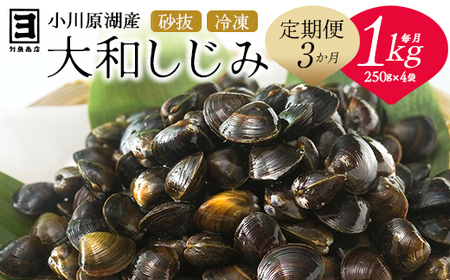 【 3ヵ月定期便 】砂抜き済みで手間いらず！冷凍・小川原湖産大和しじみ1kg（250g×4袋）【02408-0089】