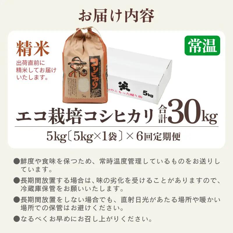 【先行予約】【令和8年産 新米】【一等米】定期便 ≪6ヶ月連続お届け≫ エコ栽培コシヒカリ  白米5kg×6回 計30kg ／ 鮮度抜群 福井県産 こしひかり ご飯 新鮮 白米 ※2026年10月上旬