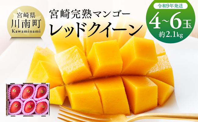 【令和9年発送】宮崎県産完熟マンゴー　「レッドクイーン」4～6玉 【 果物 フルーツ マンゴー 宮崎県産 完熟マンゴー みやざきマンゴー 先行予約 数量限定 期間限定 】