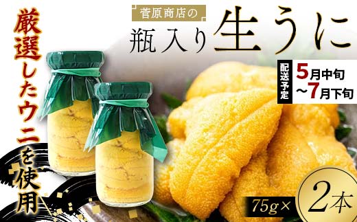 【2026年先行予約】菅原商店の生うに75g 2本【令和8年5月中旬～7月下旬配送予定】【配送日指定不可】【沖縄・離島配送不可】 三陸山田 山田町 牛乳瓶 海産品 無添加 ミョウバン不使用 雲丹 海栗