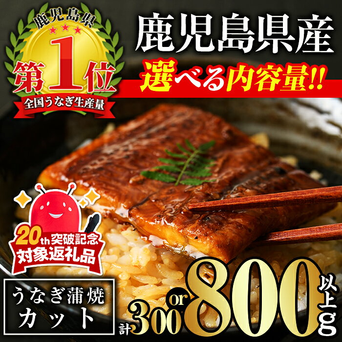 【ふるさと納税】＜内容量が選べる！＞無投薬！鹿児島県産うなぎ蒲焼カット(計300g以上〜計800g以上・約50g×6枚〜15枚) タレ・山椒付き カット鰻 鰻 カット ウナギ うな重 ひつまぶし かばやき 九州産 国産 冷凍 【西日本養鰻】