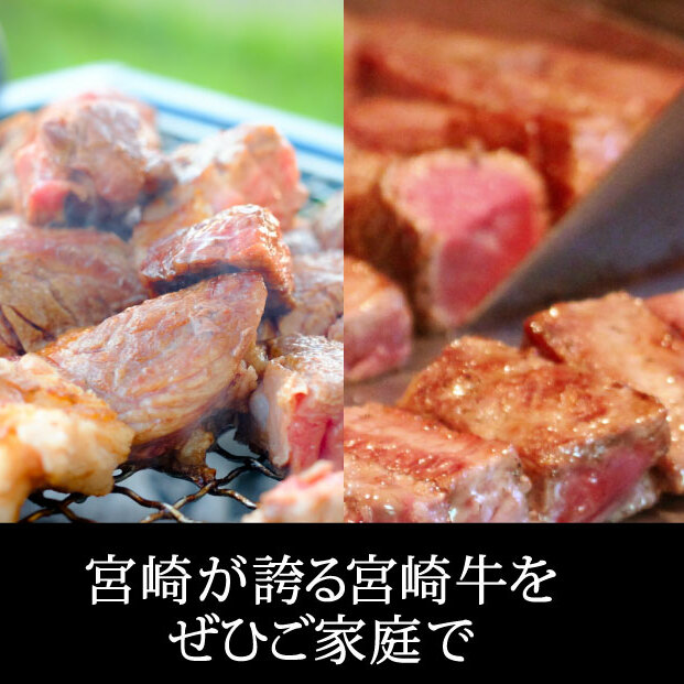 【宮崎牛】 リブロース ステーキ カット 200g×3枚 計600g [SHINGAKI 宮崎県 美郷町 31ag0065] 牛肉 焼肉 鉄板焼き 黒毛 和牛 国産 宮崎 A4 A5等級 牛 宮崎県産