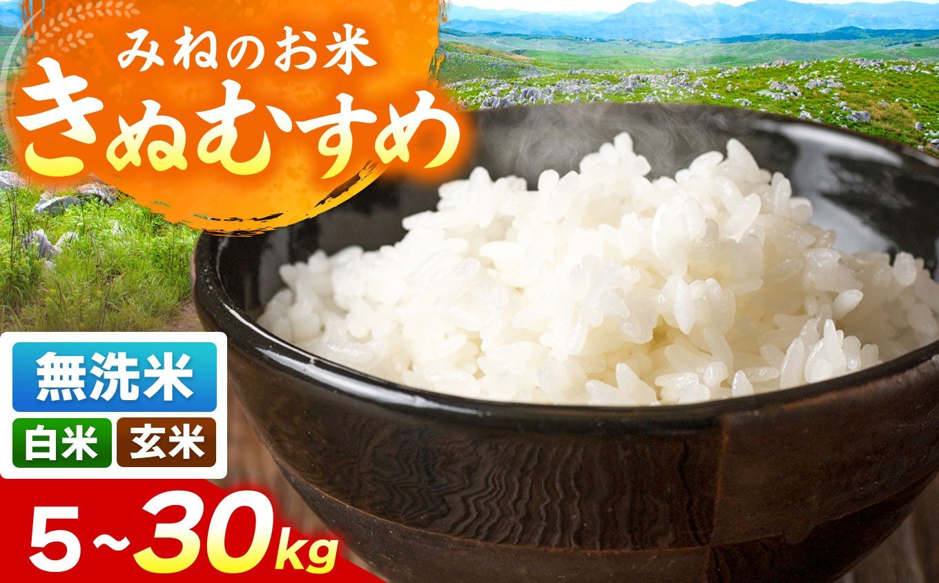 
            令和7年度産 きぬむすめ 無洗米 (5kg~30kg ) ｜ 精米 無洗米  米 雑穀 お米 コメ 単一米 きぬむすめ 絹娘  山口 美祢 秋吉台
          