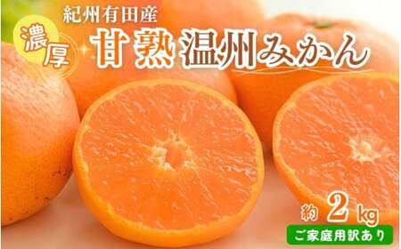 【先行予約】【家庭用 訳あり】紀州有田産 濃厚完熟 温州みかん 2kg  ※2026年11月下旬～2027年1月下旬頃に順次発送予定  / みかん ミカン 蜜柑 温州みかん 柑橘 フルーツ 果物 くだもの 和歌山【uot836】