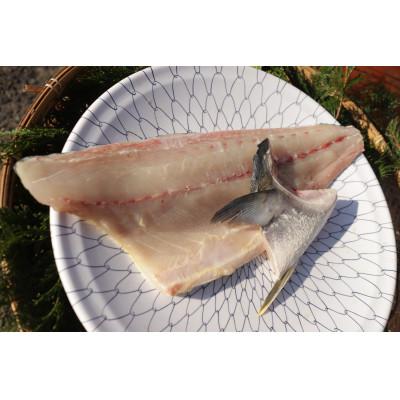 ふるさと納税 対馬市 対馬ヒラマサ3枚卸 |  | 01