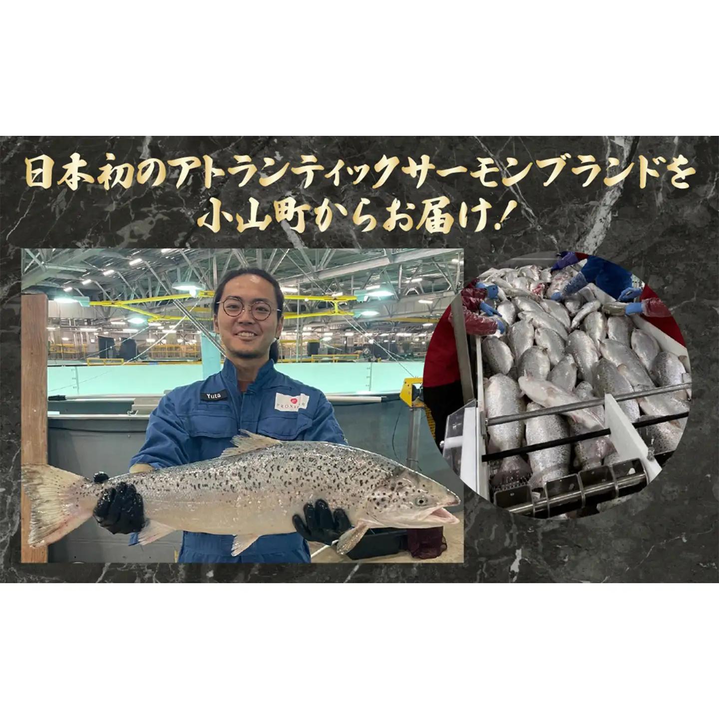 サーモン 冷凍 4～5P 約1kg サーモン