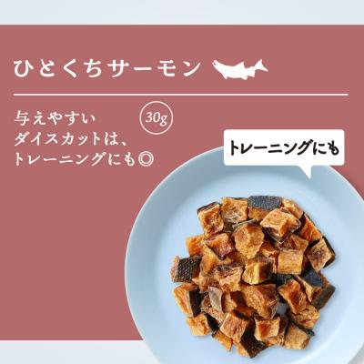 ふるさと納税 千歳市 愛犬用　無添加おやつ ひとくちサーモン　30g×3袋 ドッグフード 犬用 SIZUKA |  | 01