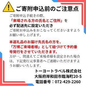 【紙対応!チケット引換券】大阪・関西万博入場用 一日券(小人)