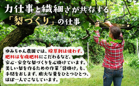 ゆみちゃん農園の玉東梨 甘太梨 約3kg(3～10玉前後)《2026年8月下旬-10月上旬頃出荷》 熊本県玉名郡玉東町 ｜ブランド梨 人気梨 特産品梨 熊本県梨 玉東町梨 大人気返礼品